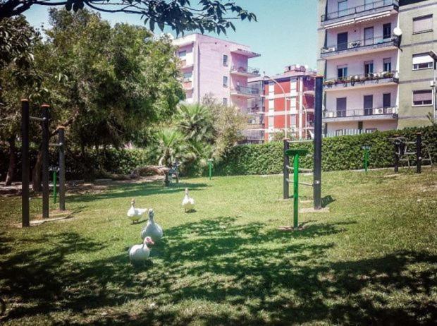 Natu Cagliari