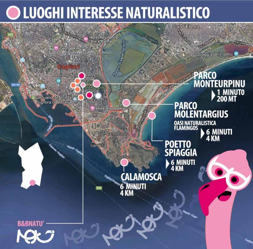 Natu * Cagliari